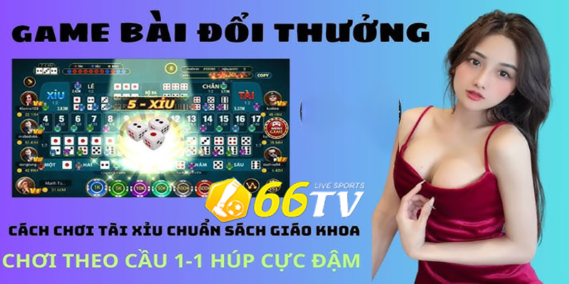 Game Bài Đổi Thưởng 66TV | Cơ Hội Đổi Đời Trong Tầm Tay!